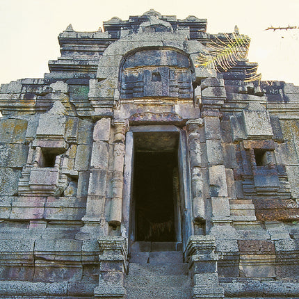 Ashram Moha Rosei (00163)