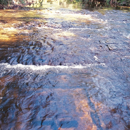 Phnom Kulen (00168)