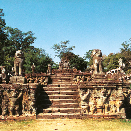 Elephant Terrace (00239)