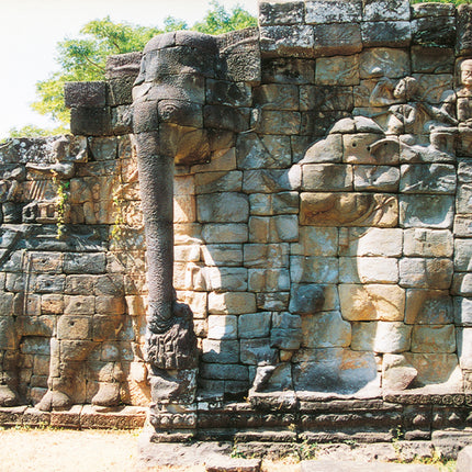 Elephant Terrace (00240)