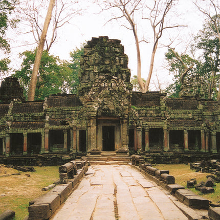 Ta Prohm (00263)