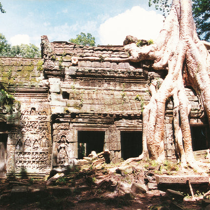 Ta Prohm (00266)