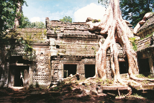 Ta Prohm (00266)
