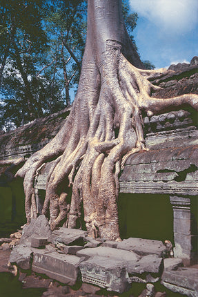Ta Prohm (00270)