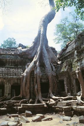 Ta Prohm (00271)
