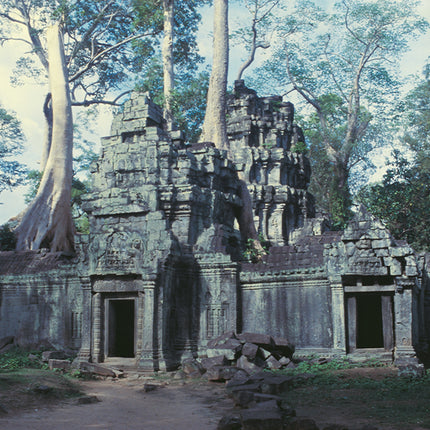 Ta Prohm (00273)