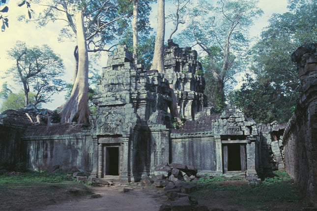 Ta Prohm (00273)