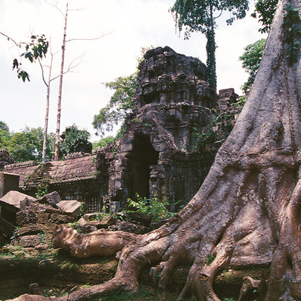 Ta Prohm (00277)