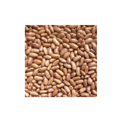 Rajma
