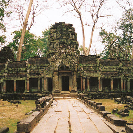 Collection image for: Ta Prohm