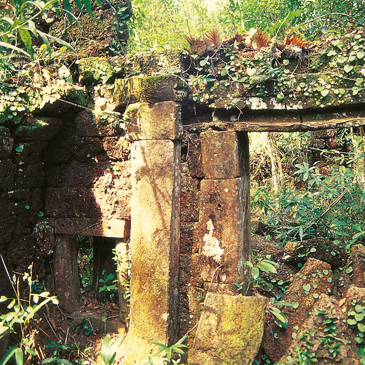 Phnom Kulen (00154)