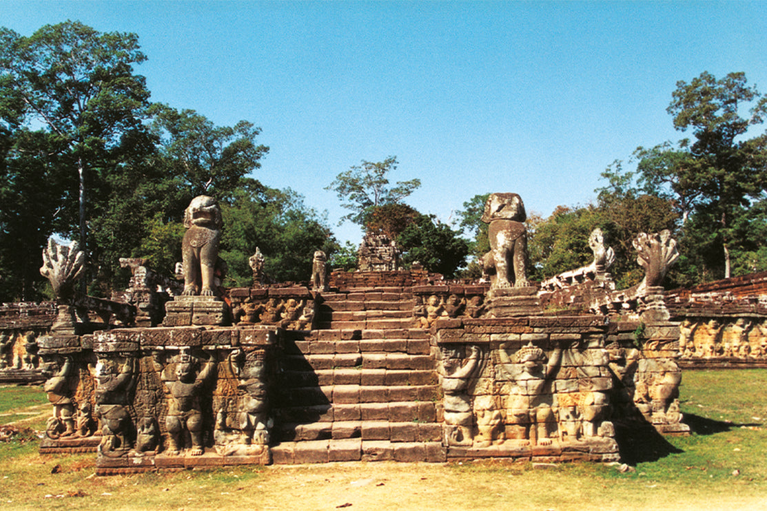 Elephant Terrace (00239)