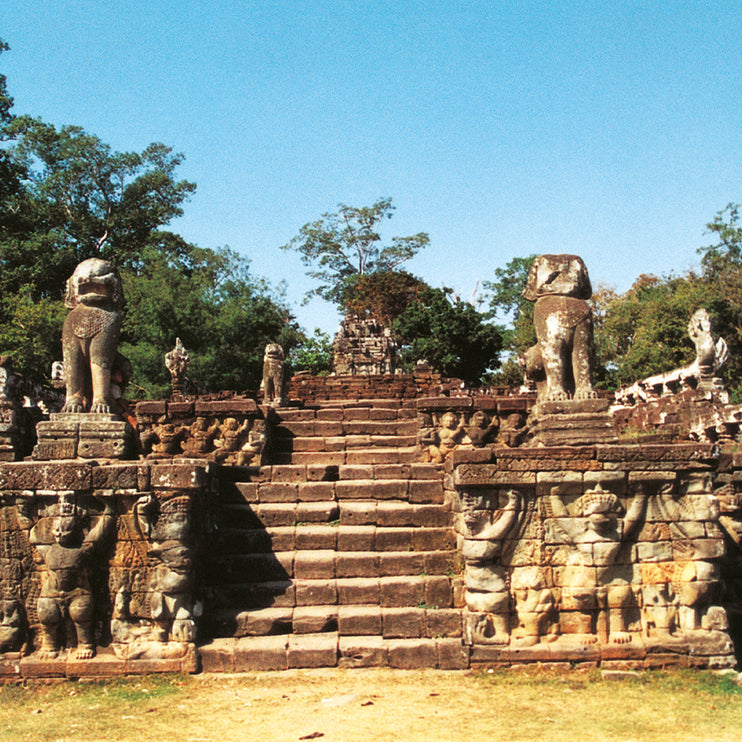 Elephant Terrace (00239)
