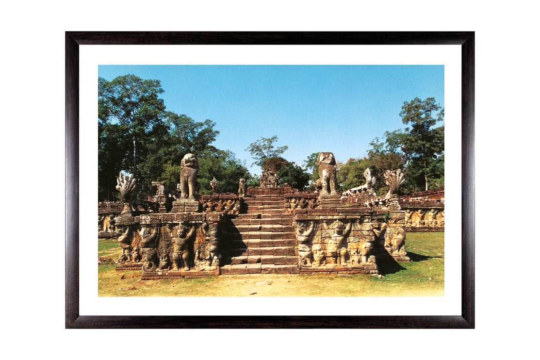 Elephant Terrace (00239)