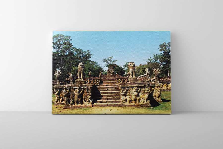 Elephant Terrace (00239)