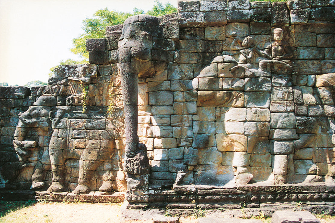 Elephant Terrace (00240)