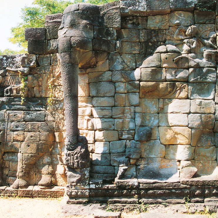 Elephant Terrace (00240)