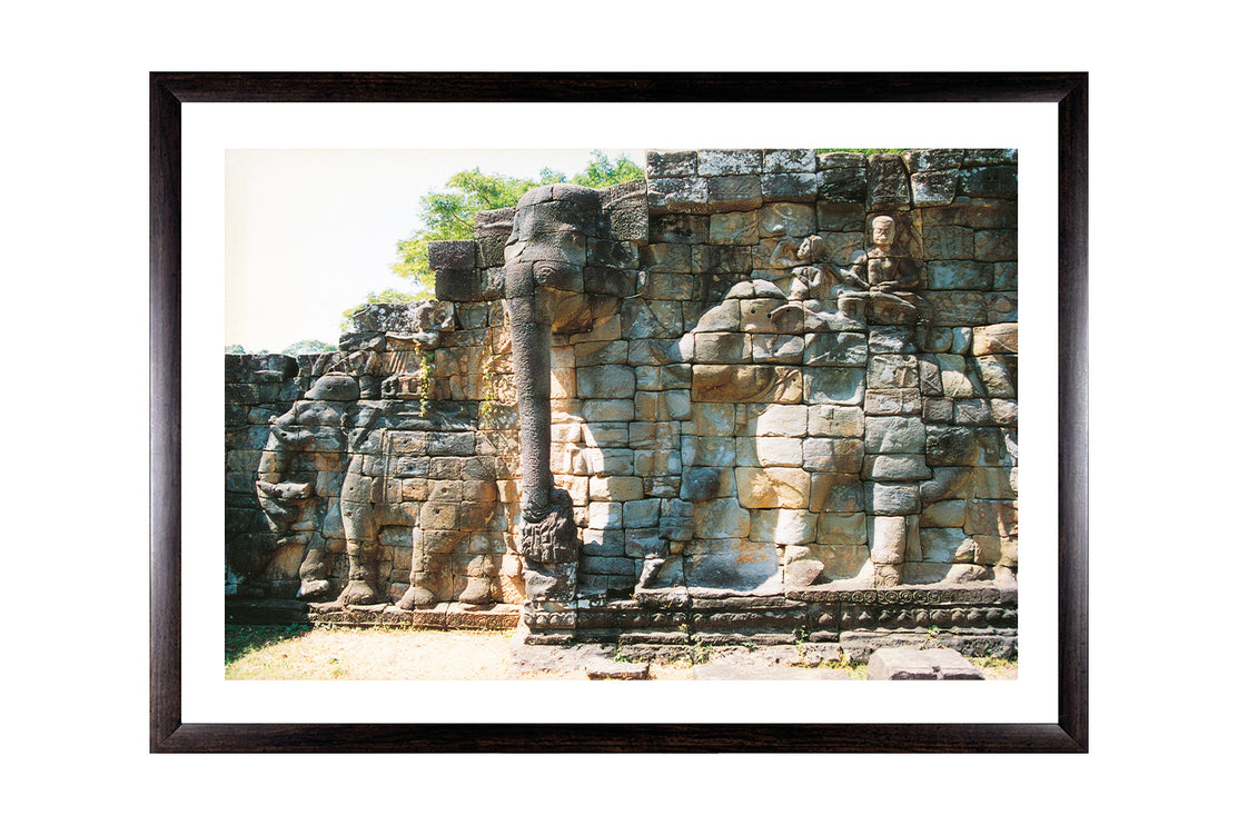 Elephant Terrace (00240)