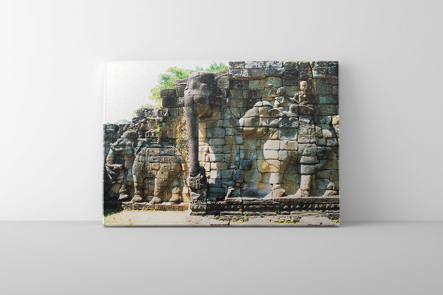 Elephant Terrace (00240)