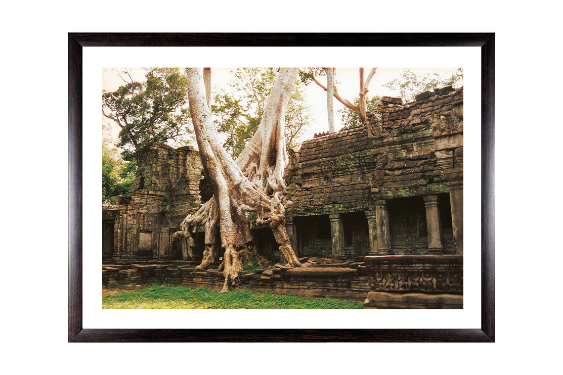 Ta Prohm (00264)