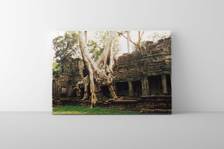 Ta Prohm (00264)