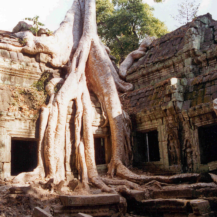 Ta Prohm (00265)