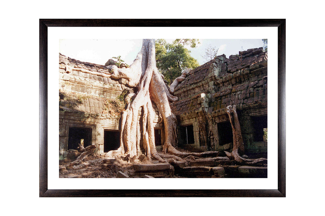 Ta Prohm (00265)