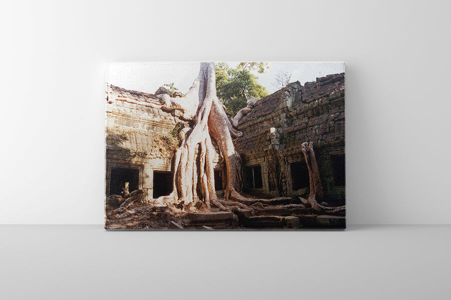 Ta Prohm (00265)