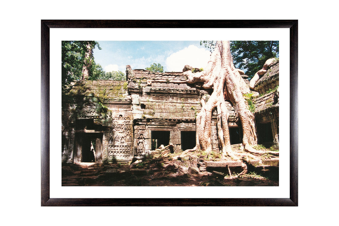 Ta Prohm (00266)
