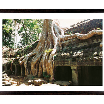Ta Prohm (00267)