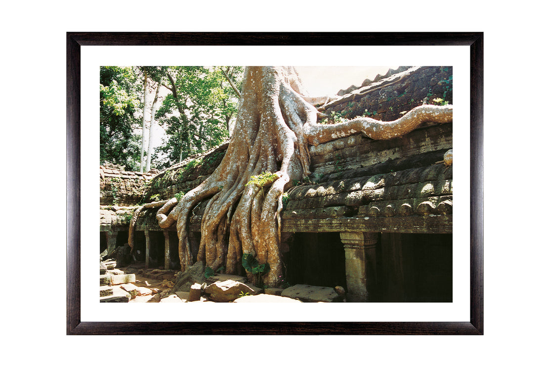 Ta Prohm (00267)