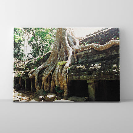 Ta Prohm (00267)