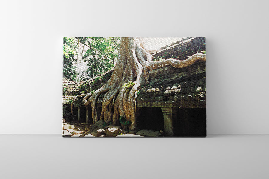 Ta Prohm (00267)