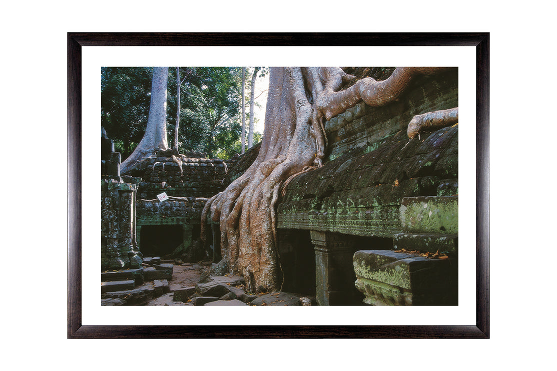Ta Prohm (00268)