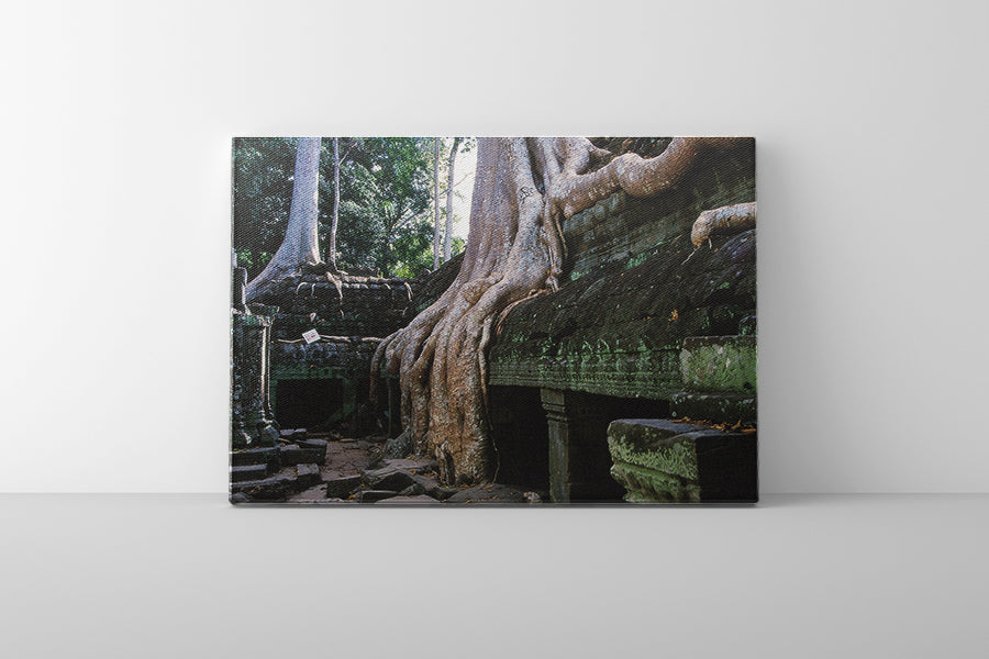 Ta Prohm (00268)