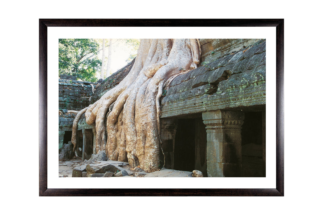 Ta Prohm (00269)