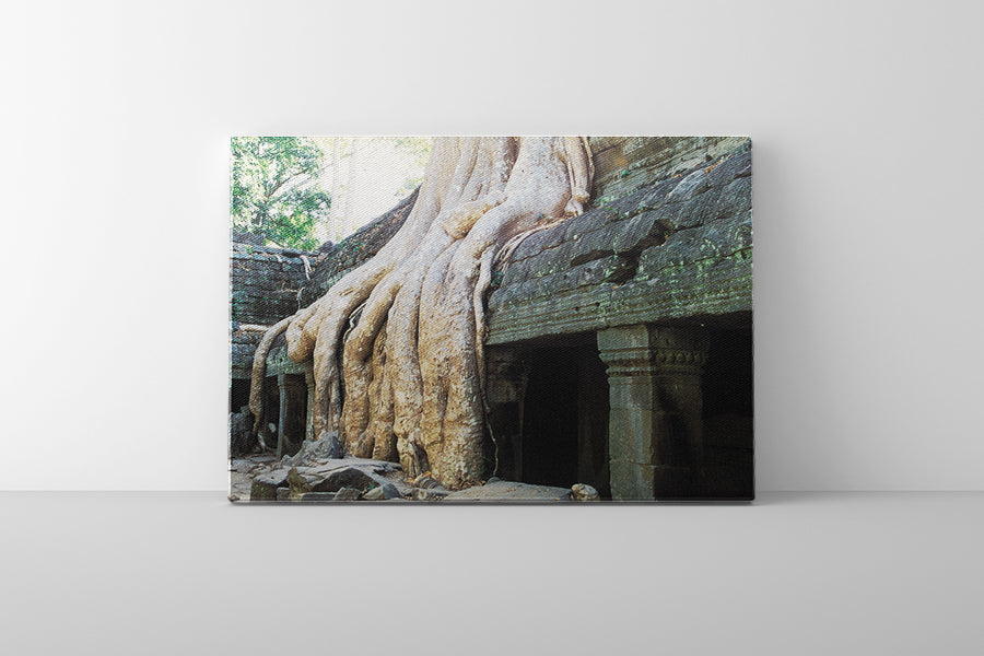 Ta Prohm (00269)