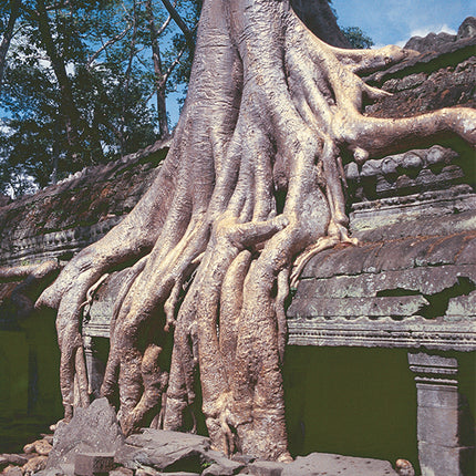 Ta Prohm (00270)