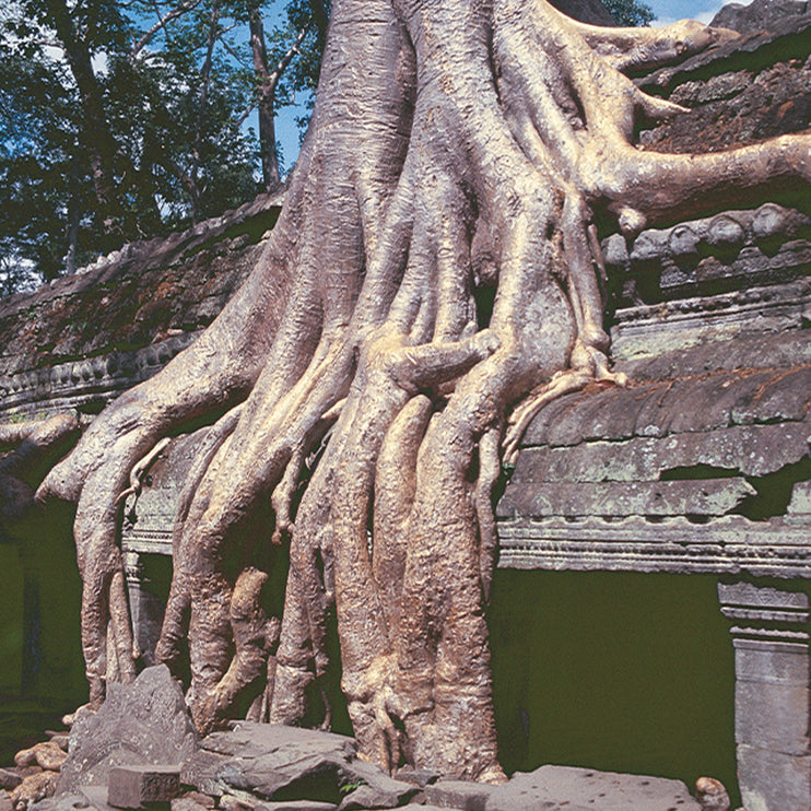 Ta Prohm (00270)
