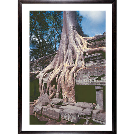 Ta Prohm (00270)