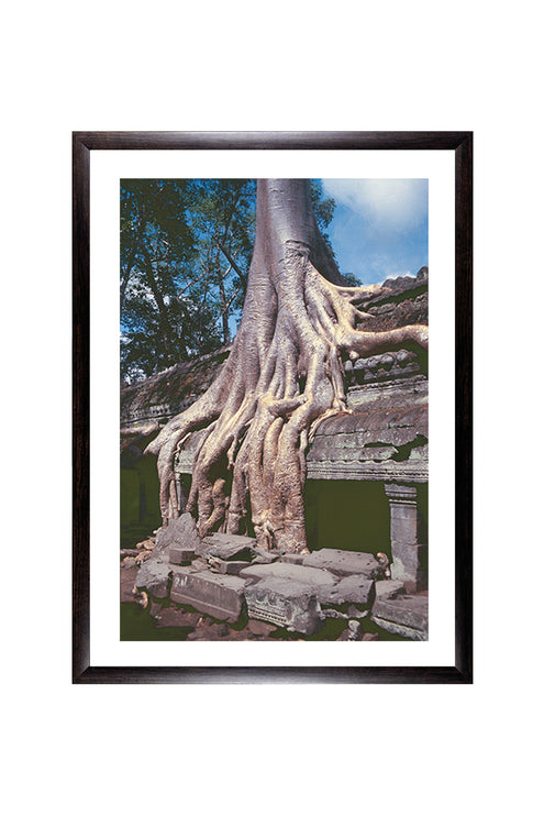 Ta Prohm (00270)