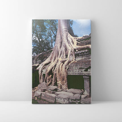 Ta Prohm (00270)