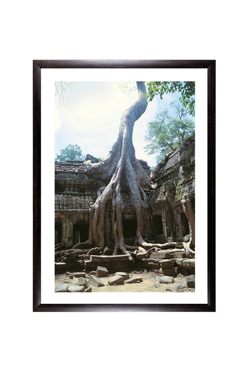 Ta Prohm (00271)