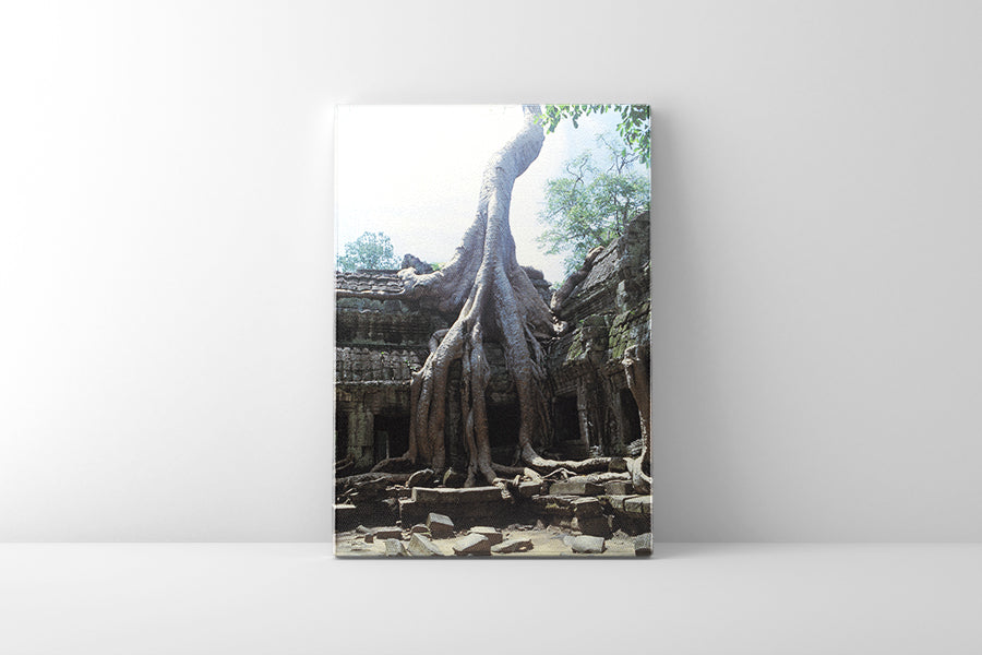 Ta Prohm (00271)