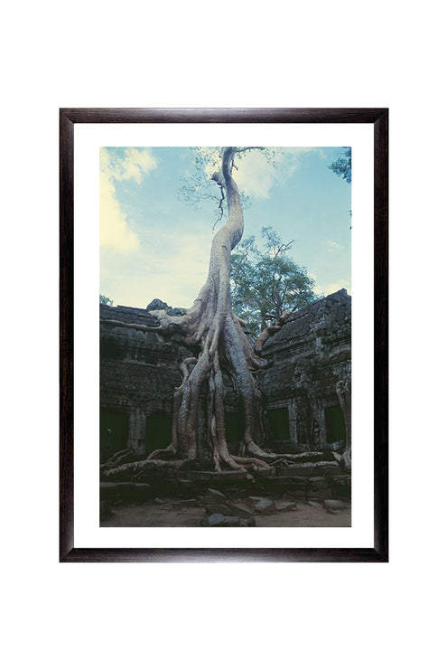 Ta Prohm (00272)