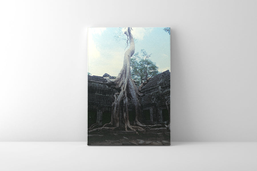 Ta Prohm (00272)