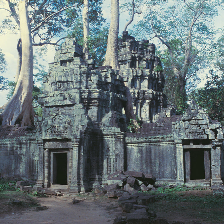 Ta Prohm (00273)
