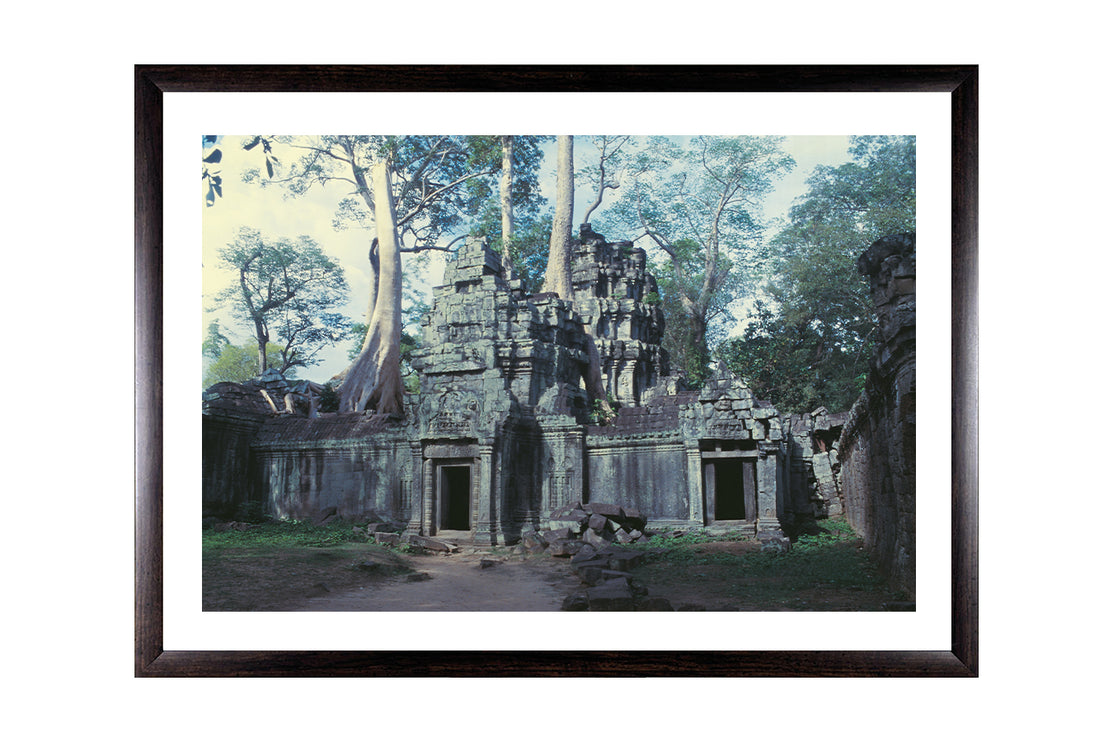 Ta Prohm (00273)