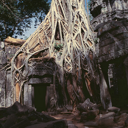 Ta Prohm (00275)
