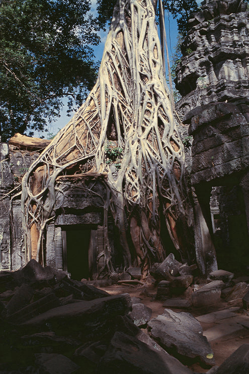 Ta Prohm (00275)